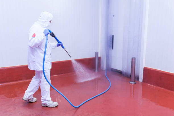 Best Dumpster Area Cleaning  in Lead, SD